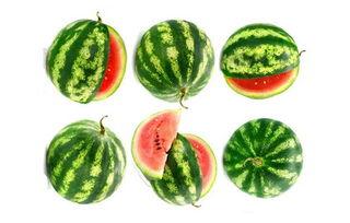 娱乐吃瓜固定模版如何做,揭秘明星幕后故事，带你领略明星们的真实生活  第1张